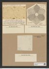 Actinoptychus hittianus C. Jan. (de-Toni-Nr.: Genus 227, Species 5546) Zeichnungen Sammlung Grunow Nr. 9577 (NHMW-BOT-W0379389)